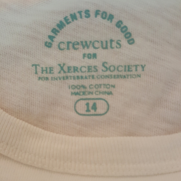 Crewcuts T shirt - Picture 6 of 8